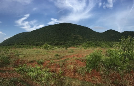 Land